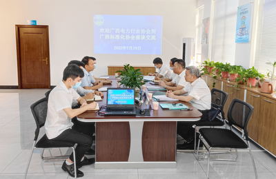 廣西電力行業(yè)協(xié)會(huì)赴廣西標(biāo)準(zhǔn)化協(xié)會(huì)開(kāi)展技術(shù)咨詢與交流合作